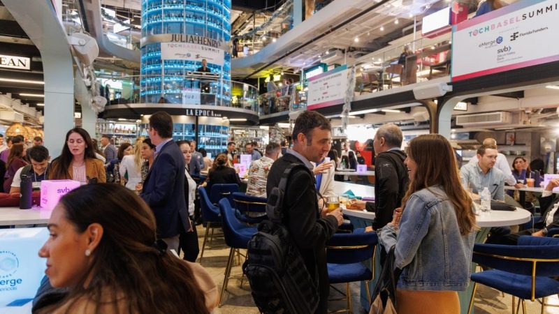 53392362369_a225ea958c_o